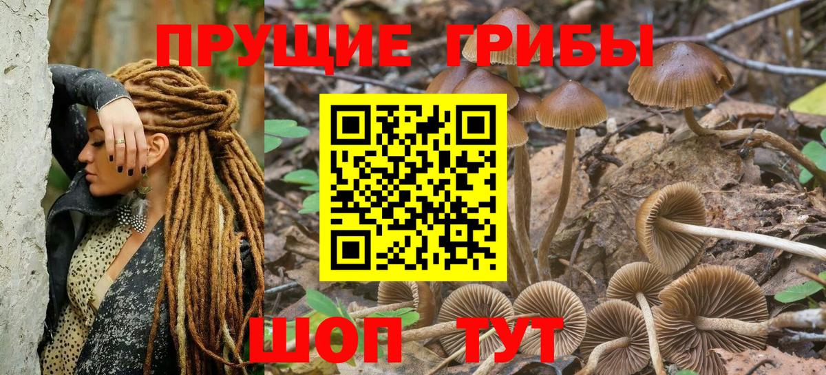 Псилоцибиновые грибы GOLDEN TEACHER  Псилоцибиновые грибы мицелий  Вход с VPN  Десногорск 