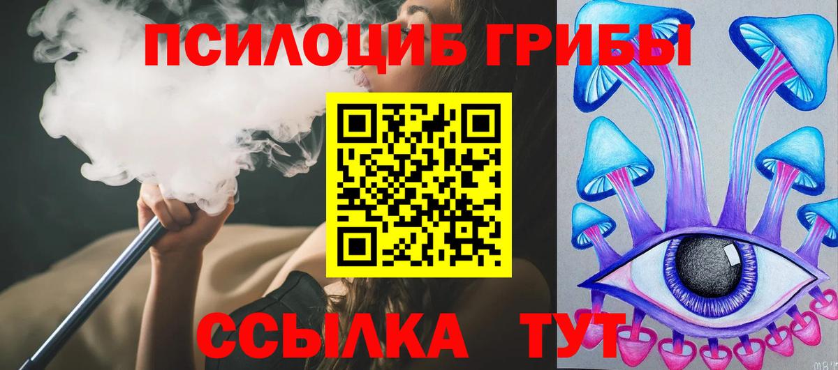 Псилоцибиновые грибы Psilocybine cubensis Десногорск